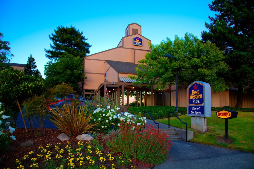 Best Western Plus Inn - the Vines