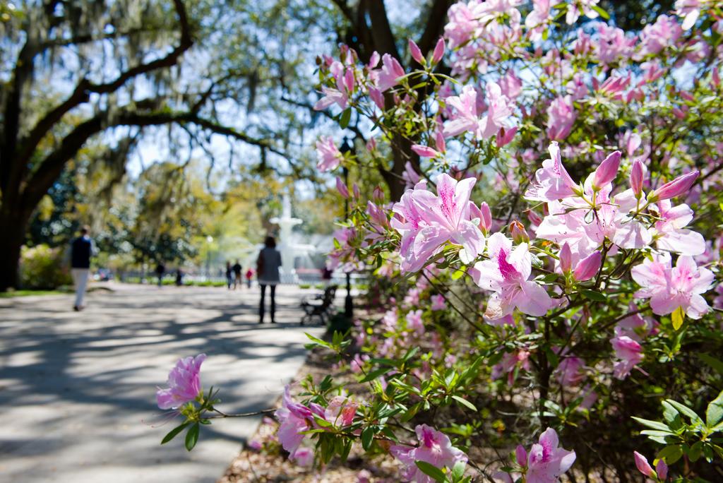 Homewood Suites by Hilton Savannah Historic District