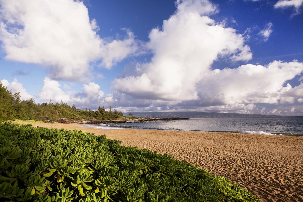 The Ritz-Carlton Kapalua