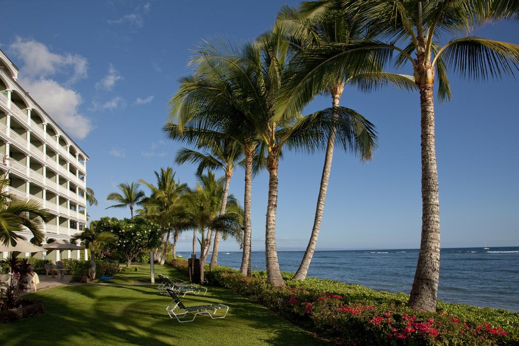 Lahaina Shores