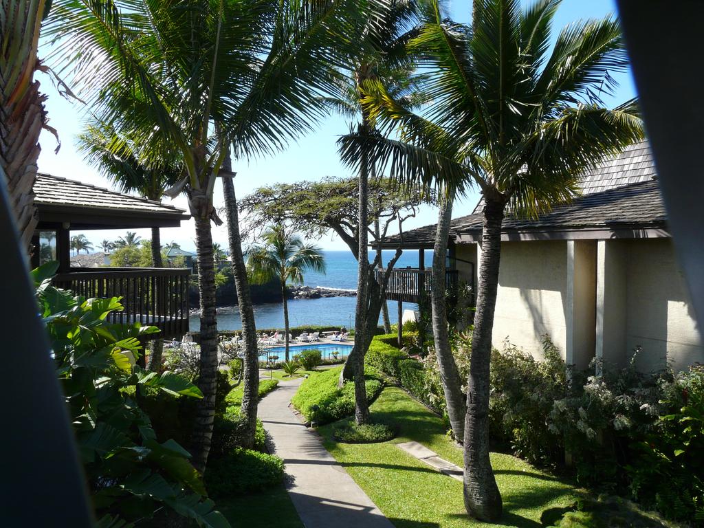 Condos - Napili Point