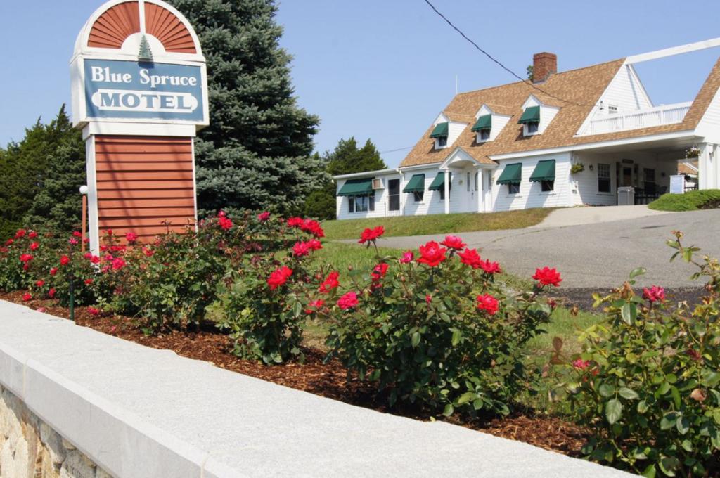 Blue Spruce Motel and Townhouses