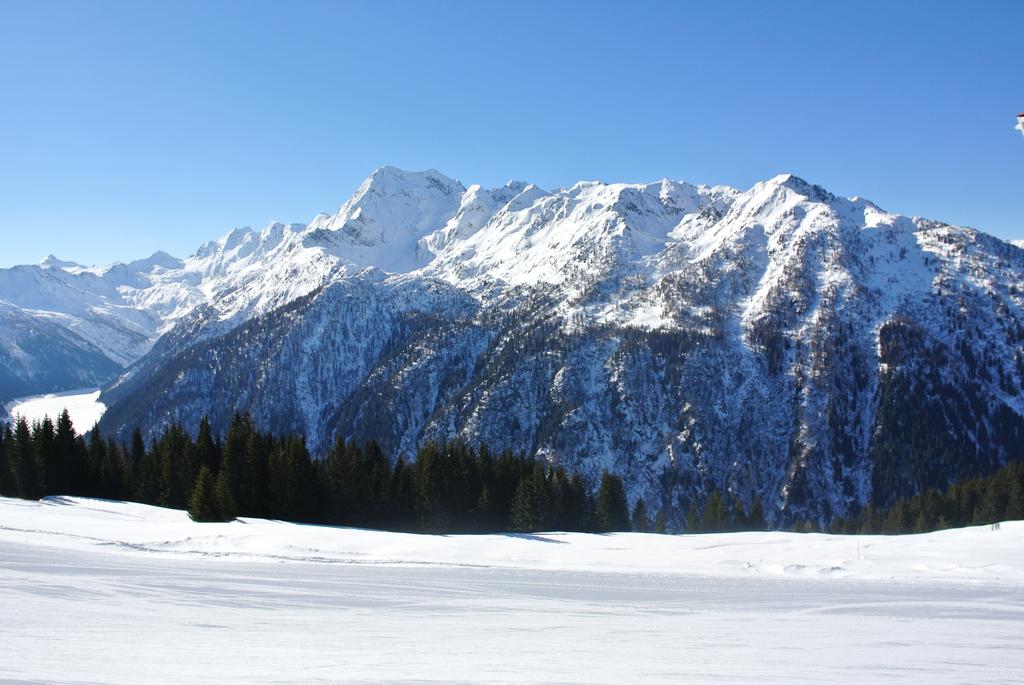 Albergo Meuble Stelvio Tirano