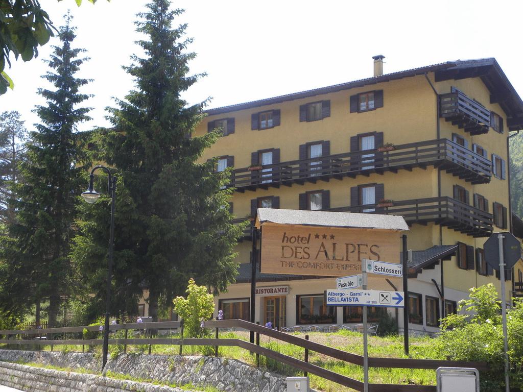 Hotel des Alpes