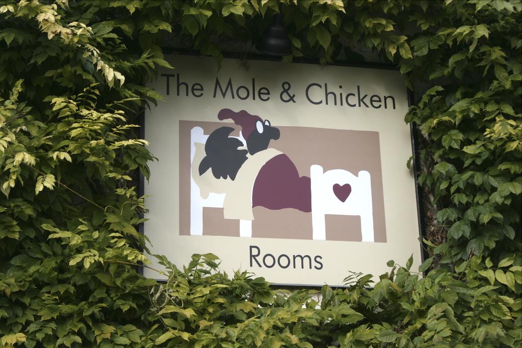 The Mole and Chicken