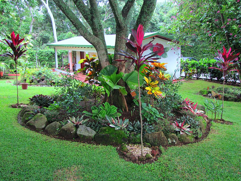 Hotel La Rosa de America