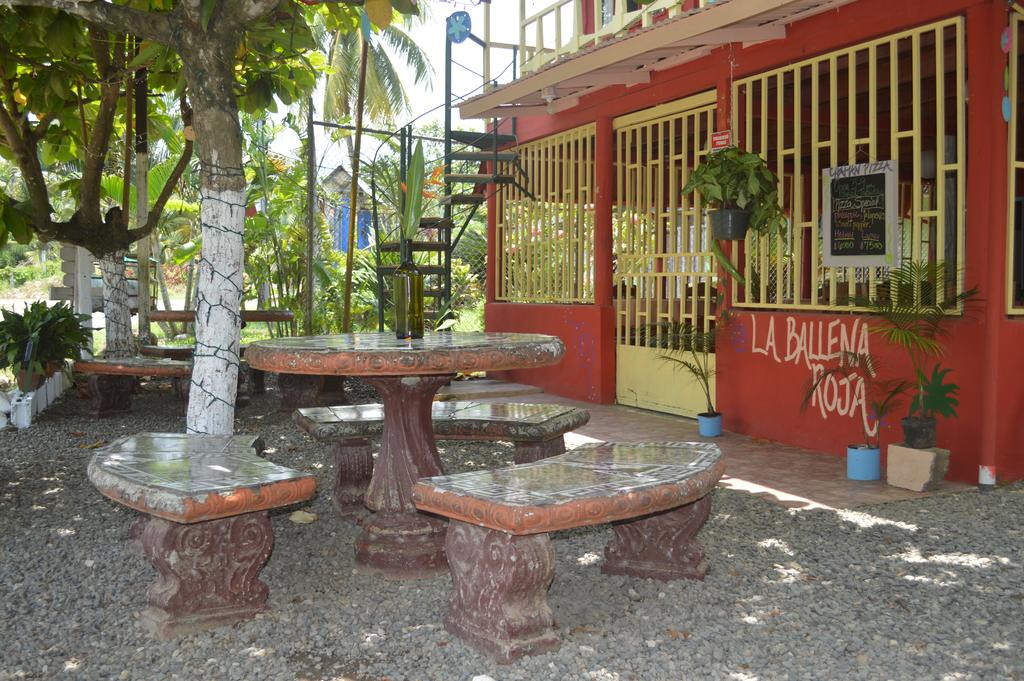 La Ballena Roja Guest House and Cafe