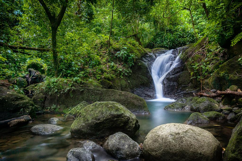 Portasol Rainforest and Ocean View Community