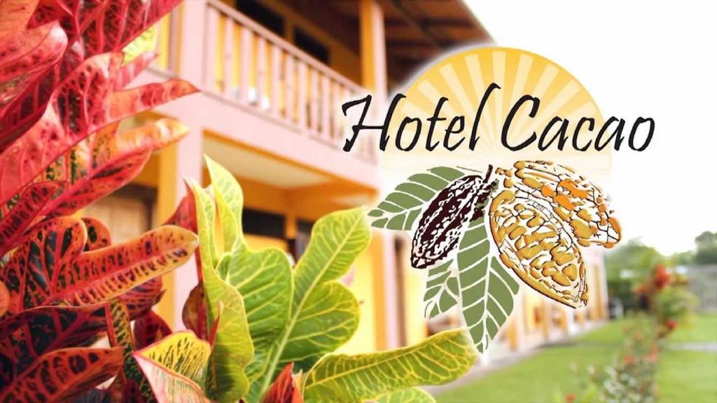 Hotel Cacao