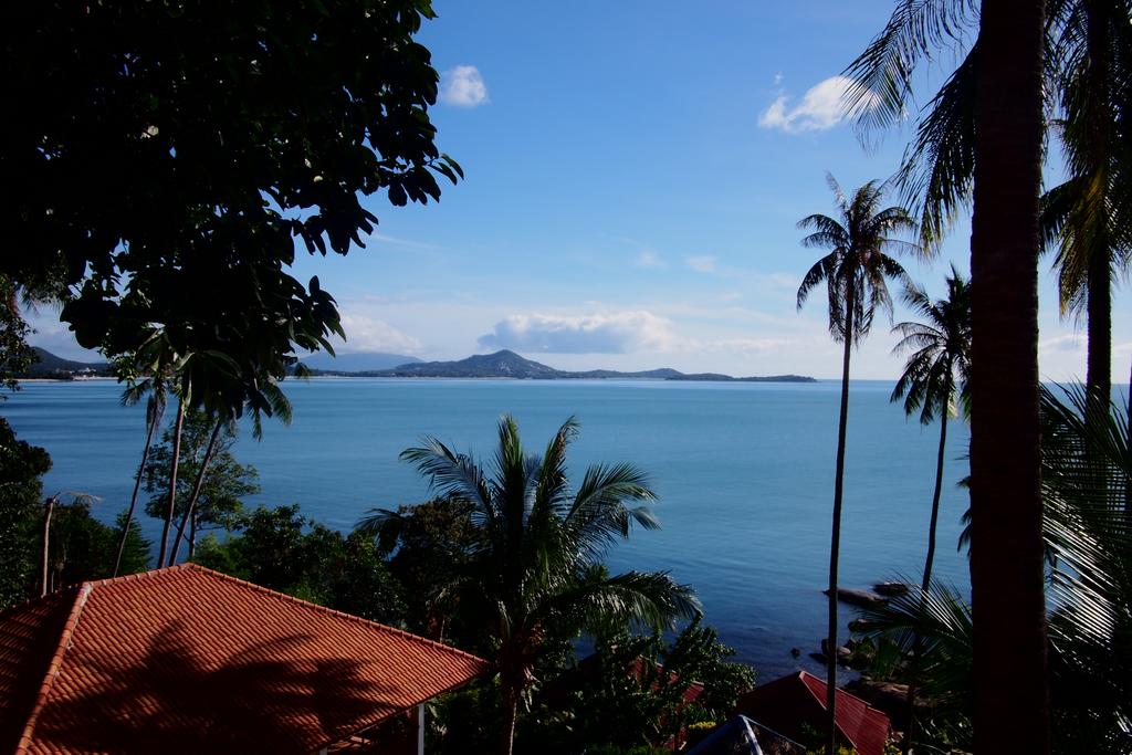 Hi Coral Cove Bungalow - Snorkeling Point