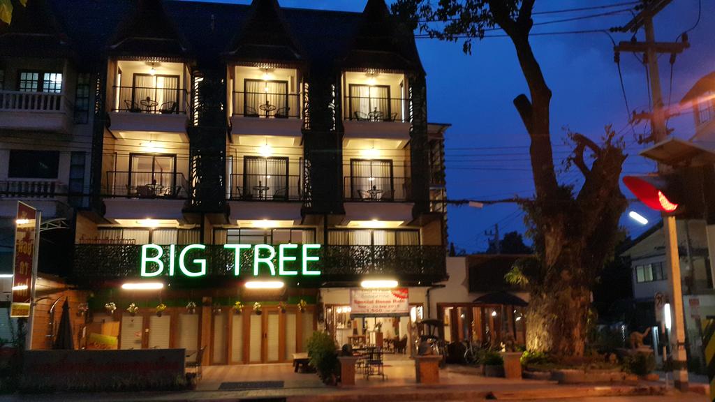 Big Tree Boutique Hotel