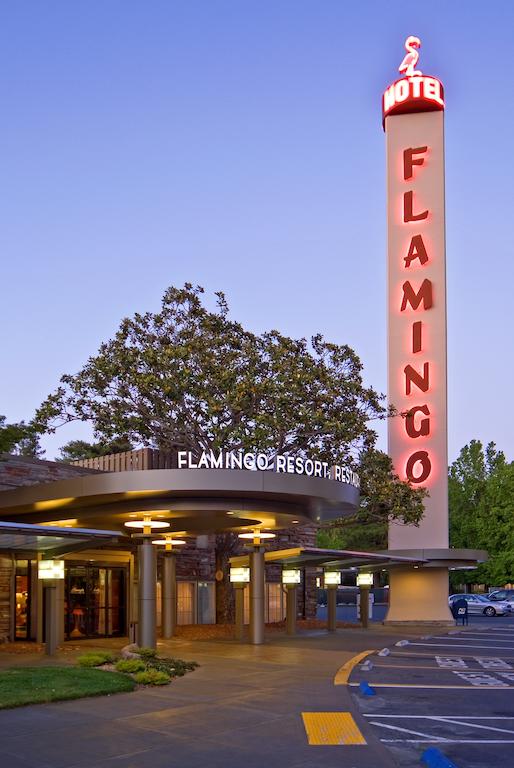 Flamingo Resort Hotel and Spa