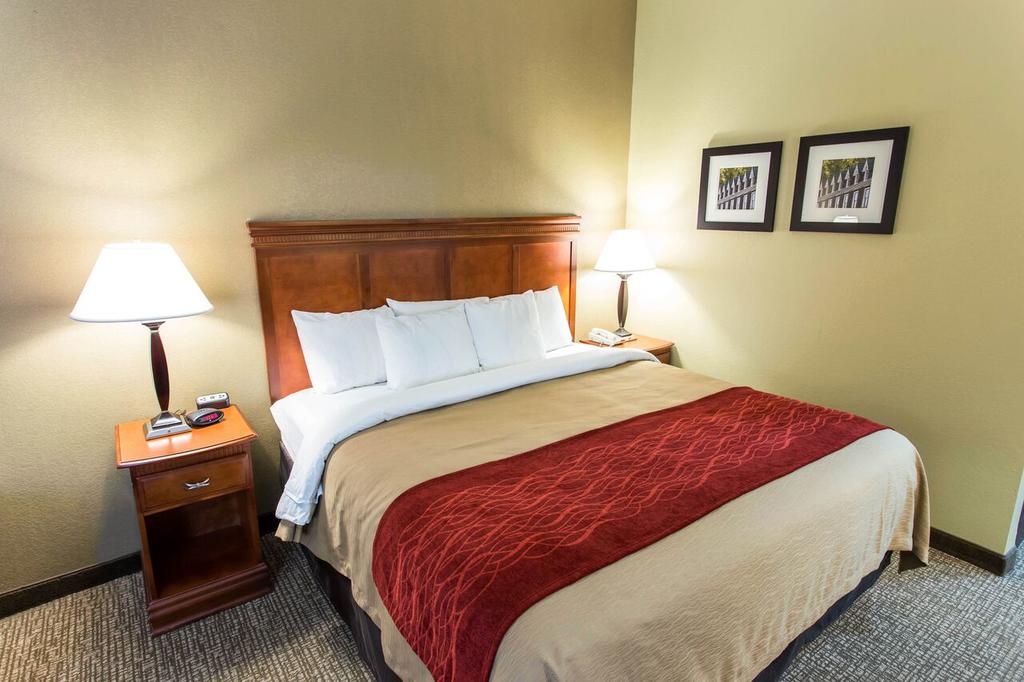 Comfort Inn Opelika Auburn