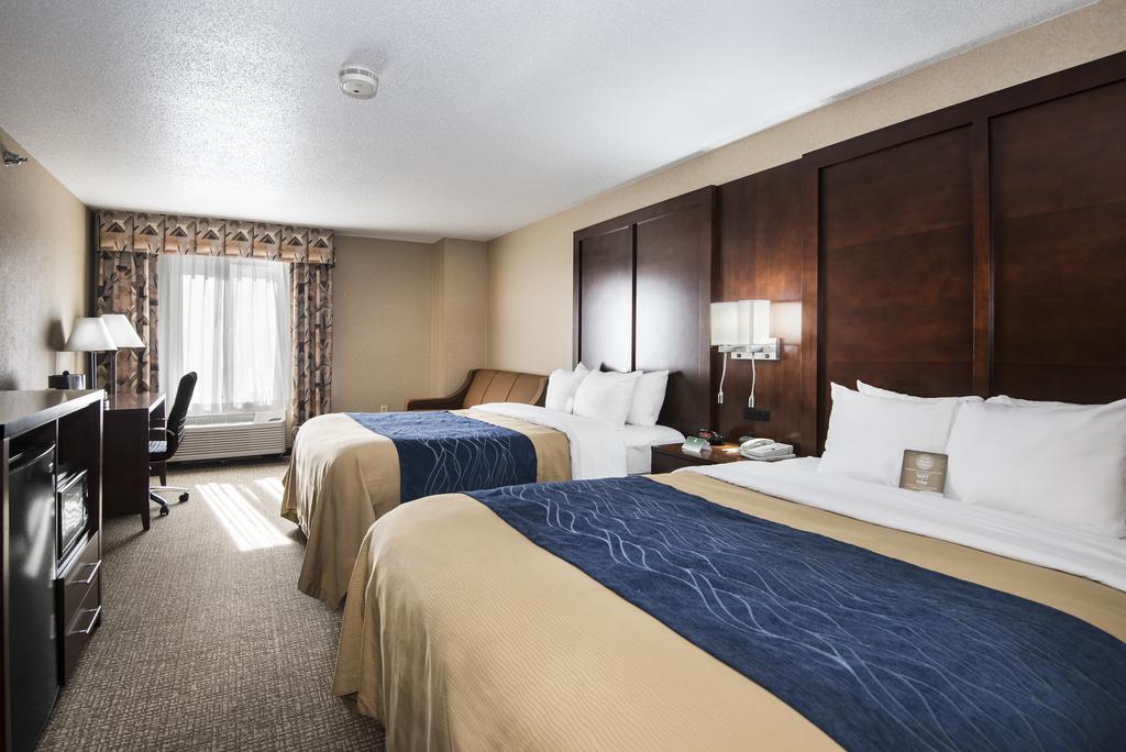 Comfort Inn and Suites Conway