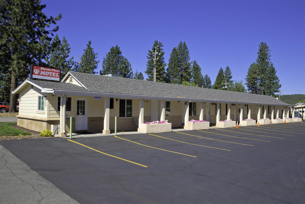 Shasta Pines Motel and Suites