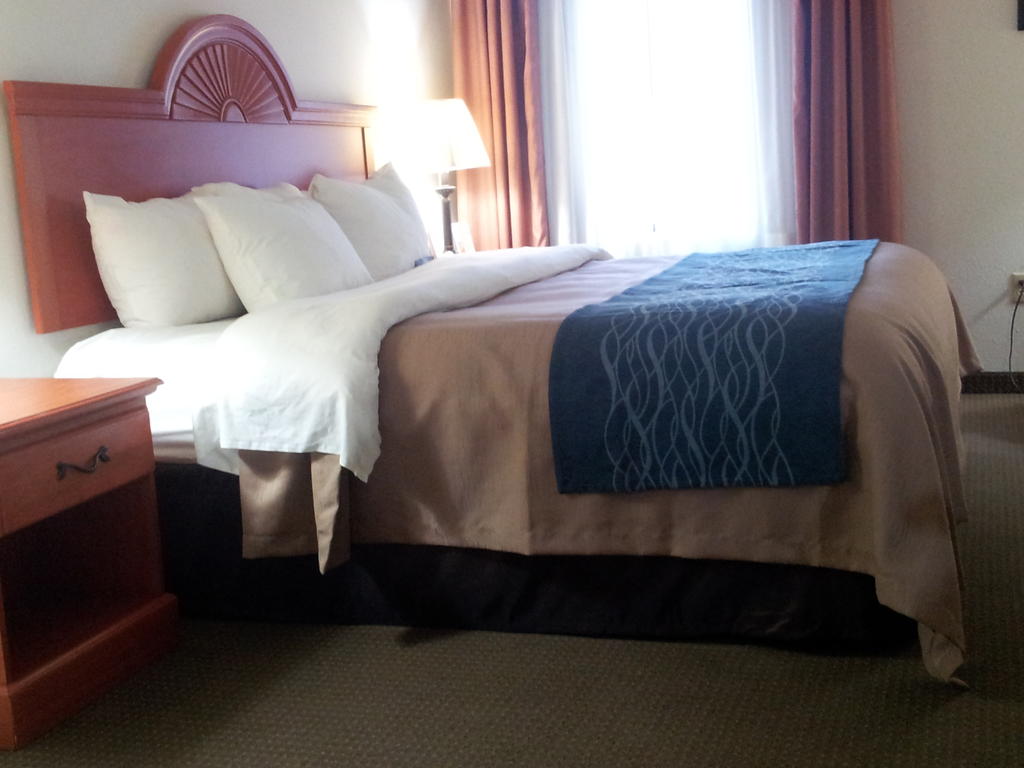 Comfort Inn Kalamazoo