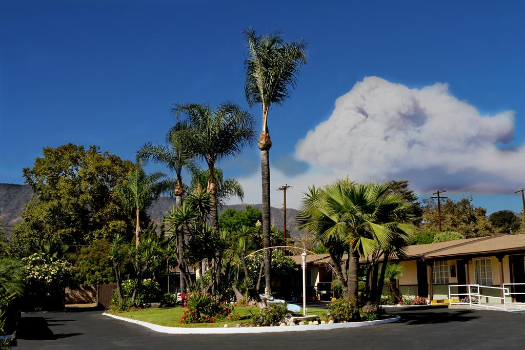 Palm Tropics Motel