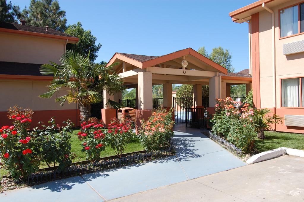 Best Western Antelope Inn and Suites