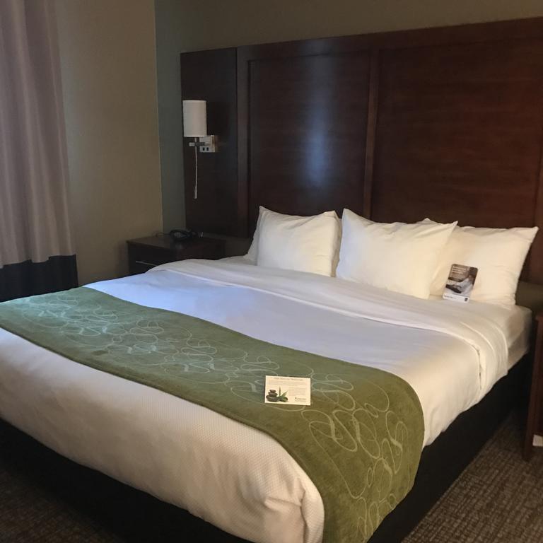 Comfort Suites South Amarillo