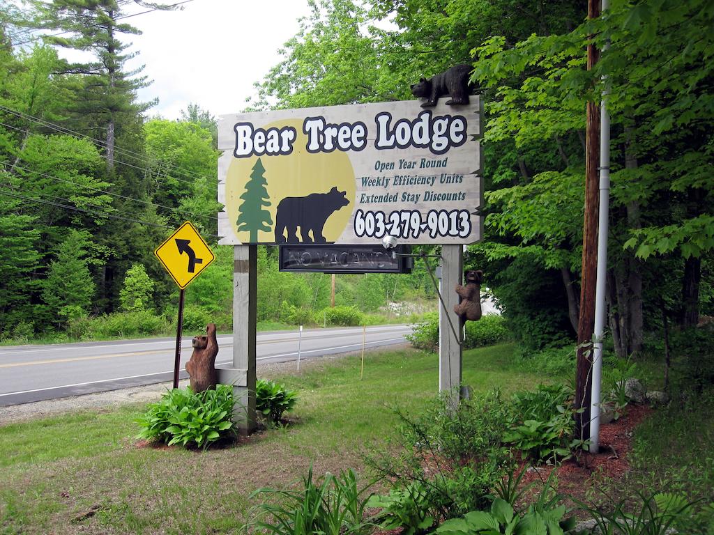 Bear Tree Lodge