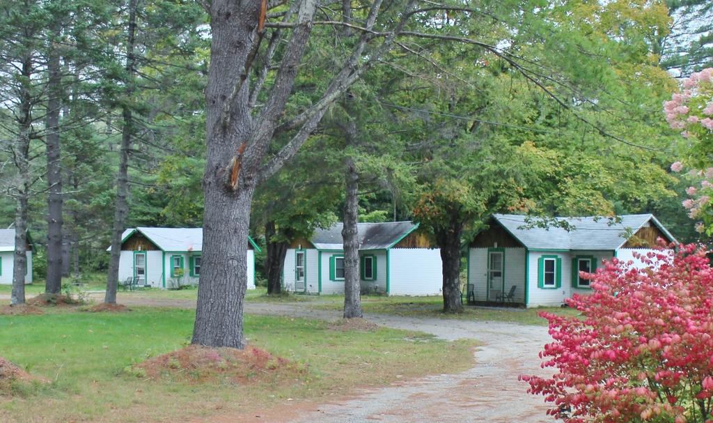 Pine Valley Cabins