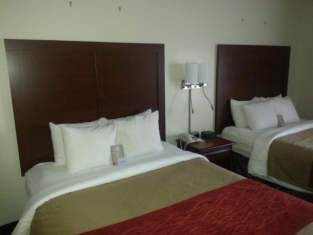 Comfort Inn and Suites Mount Pocono