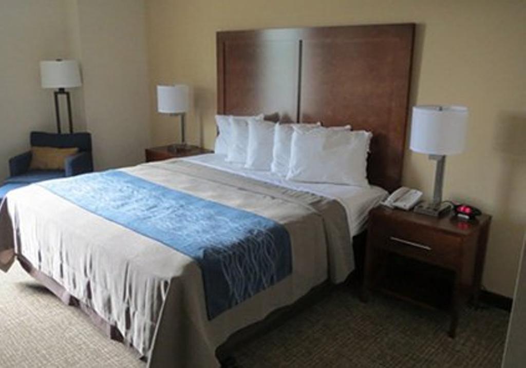 Comfort Inn Apalachin