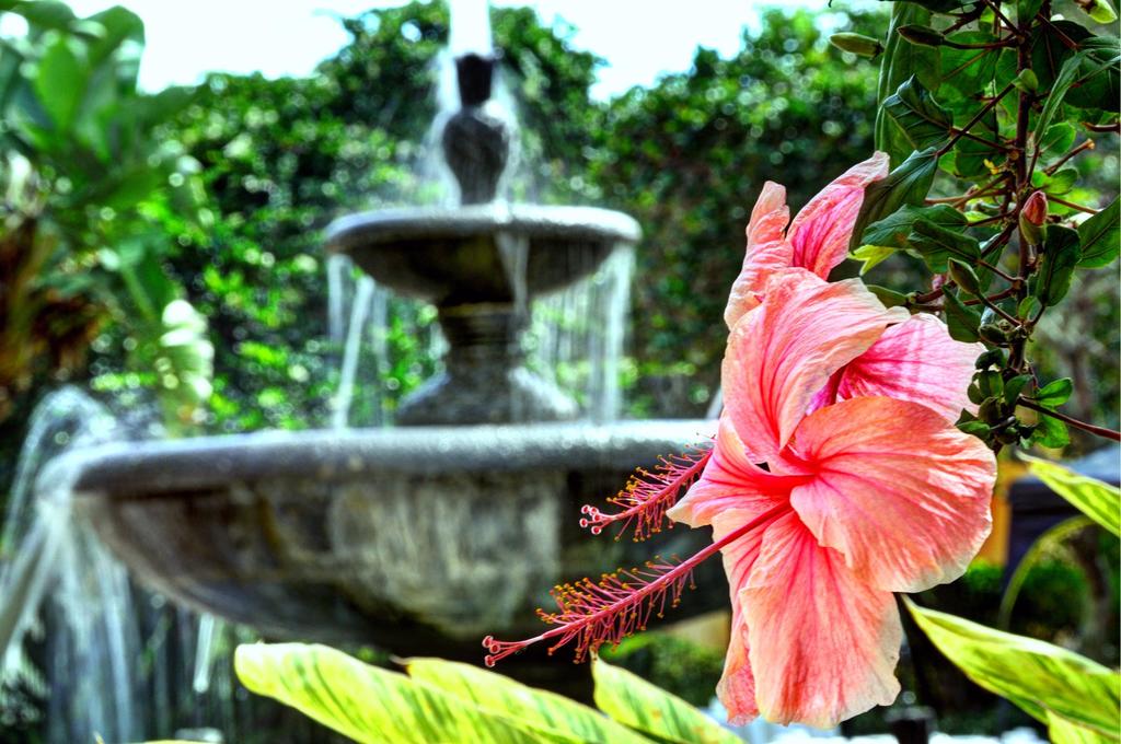 Courtyard Bradenton SarasotaRiverfront