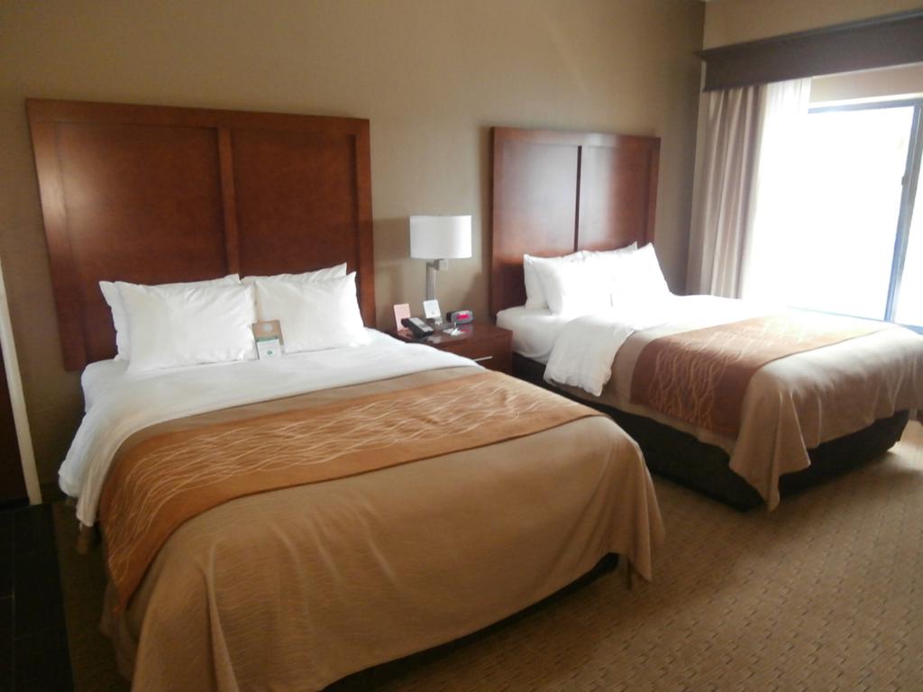 Comfort Inn And Executive Suite