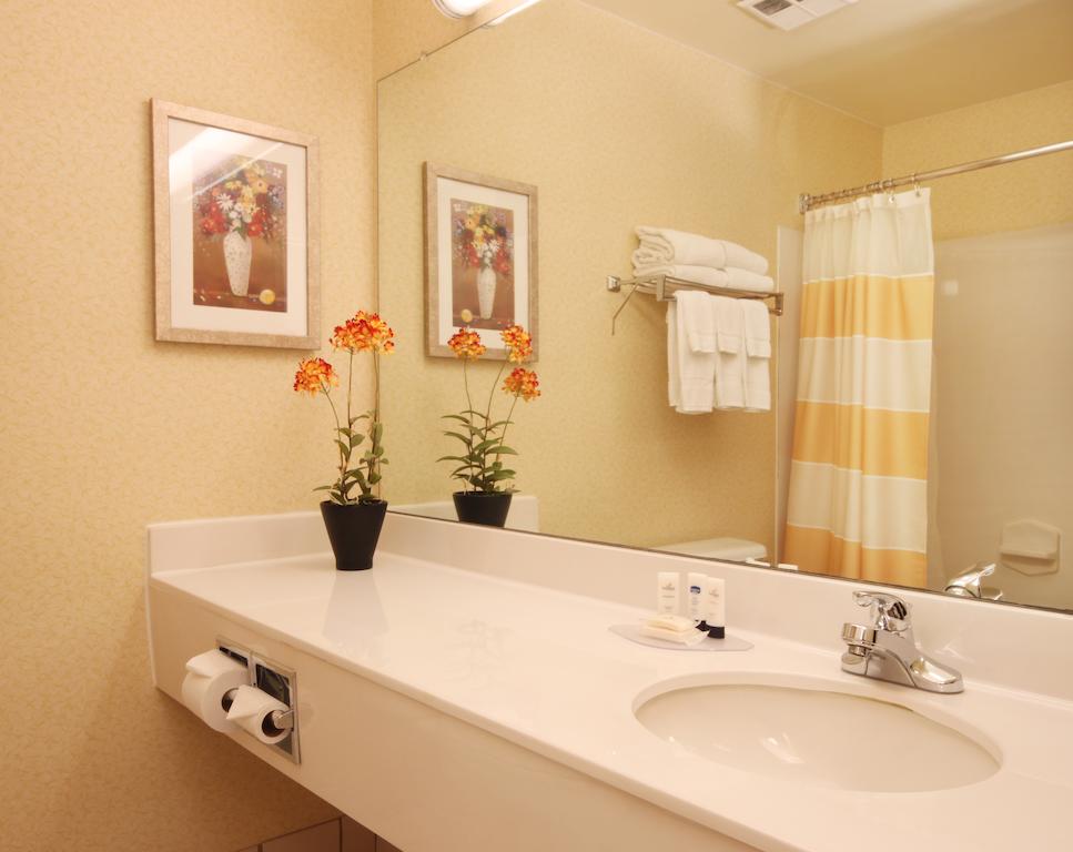 Fairfield Inn and Suites Atlanta Suwanee