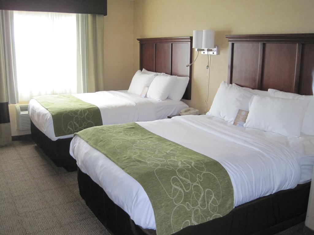 Comfort Suites Columbia - University Area