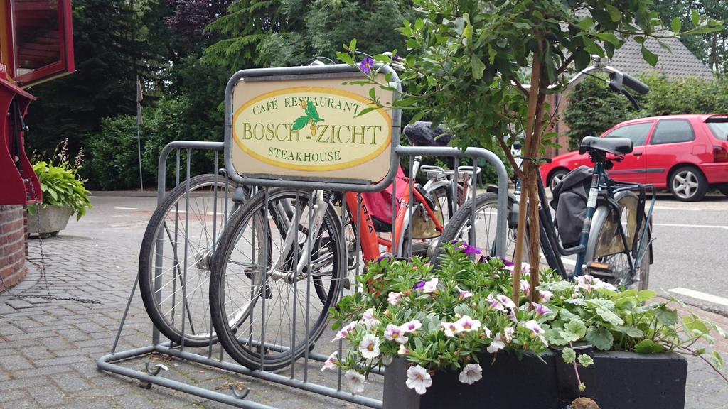 Boschzicht