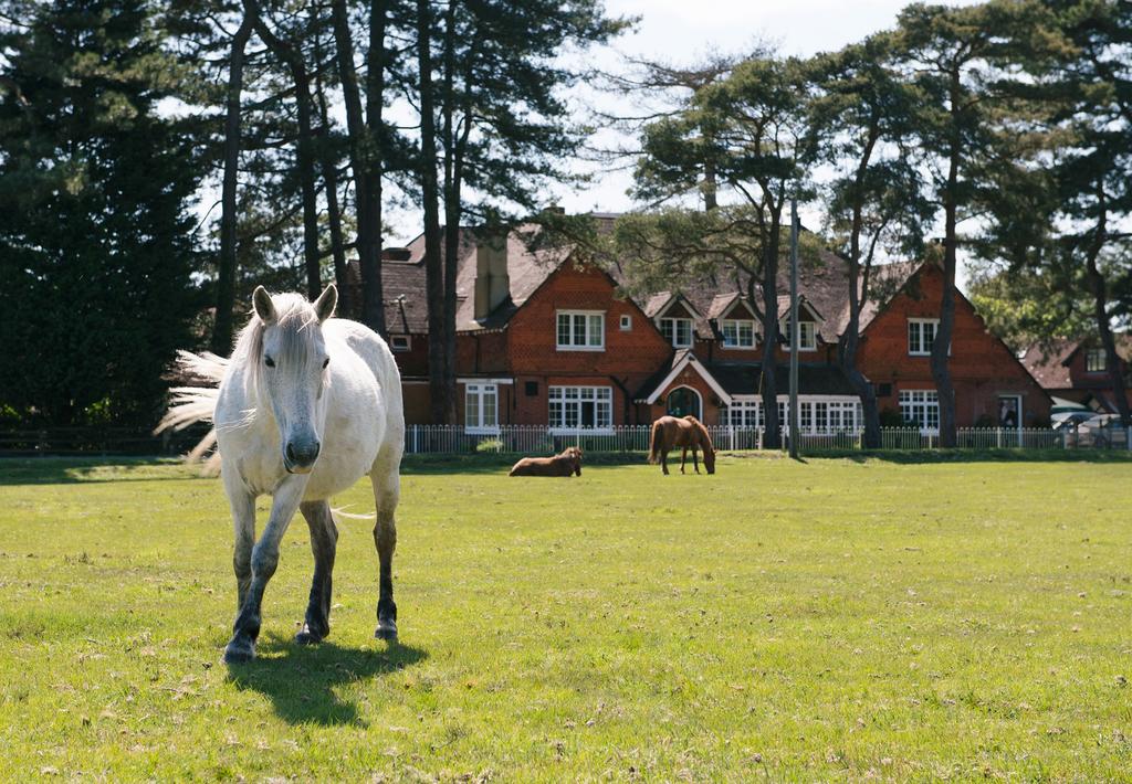 The Beaulieu Hotel