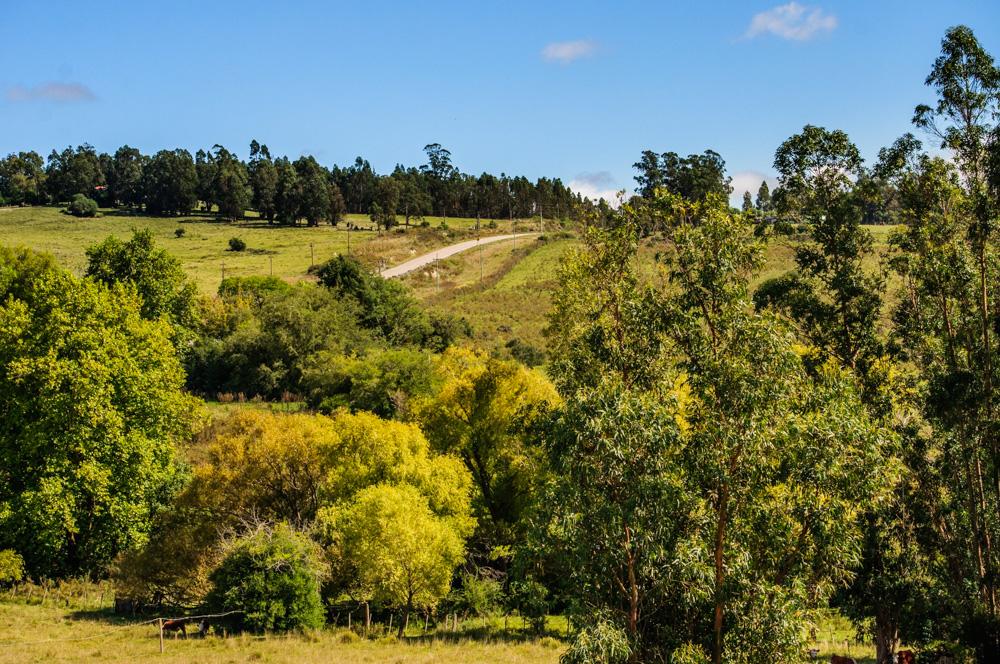 San Francisco De Las Sierras