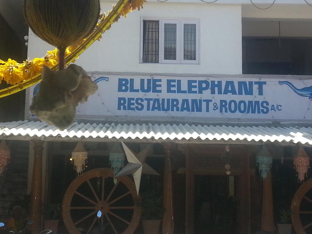 Blue Elephant