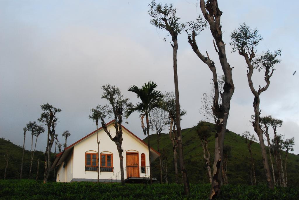 Tea Terrace Vythiri