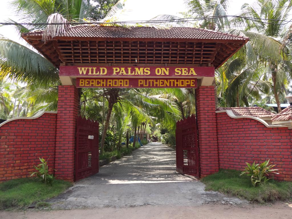 Wild Palms on Sea