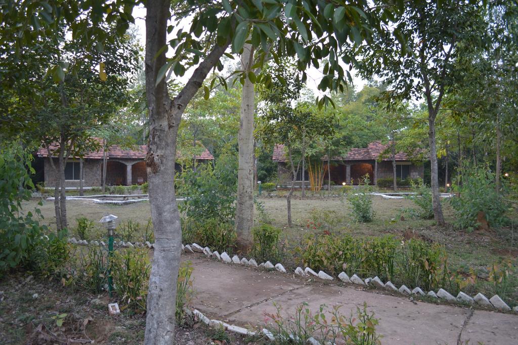 Mogli Jungle Resort Bandhavgarh