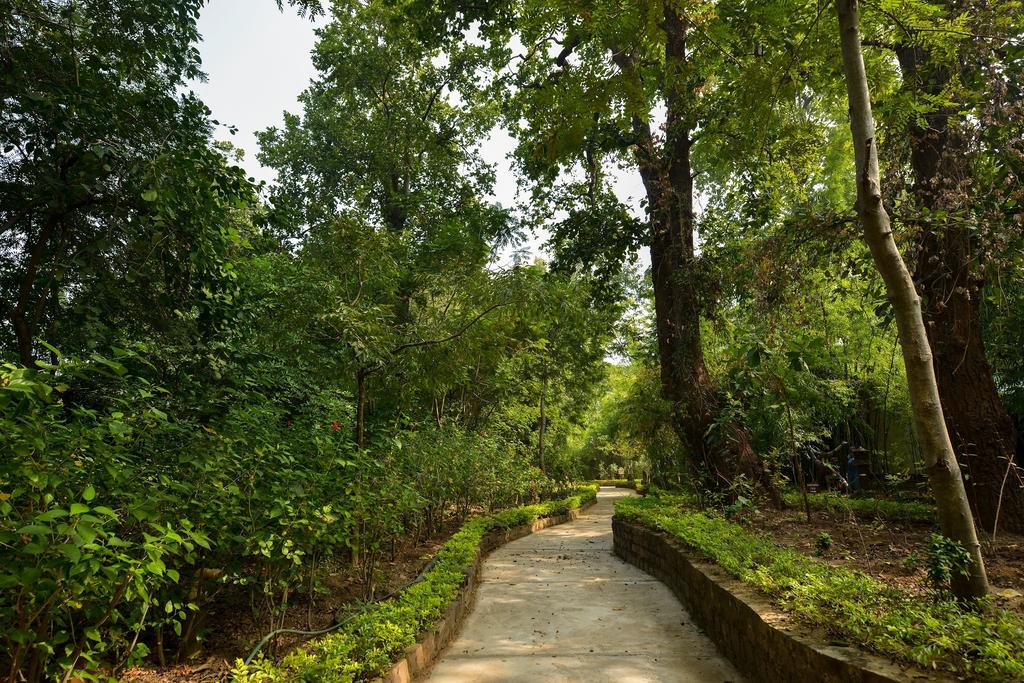 Syna Tiger Resort Bandhavgarh