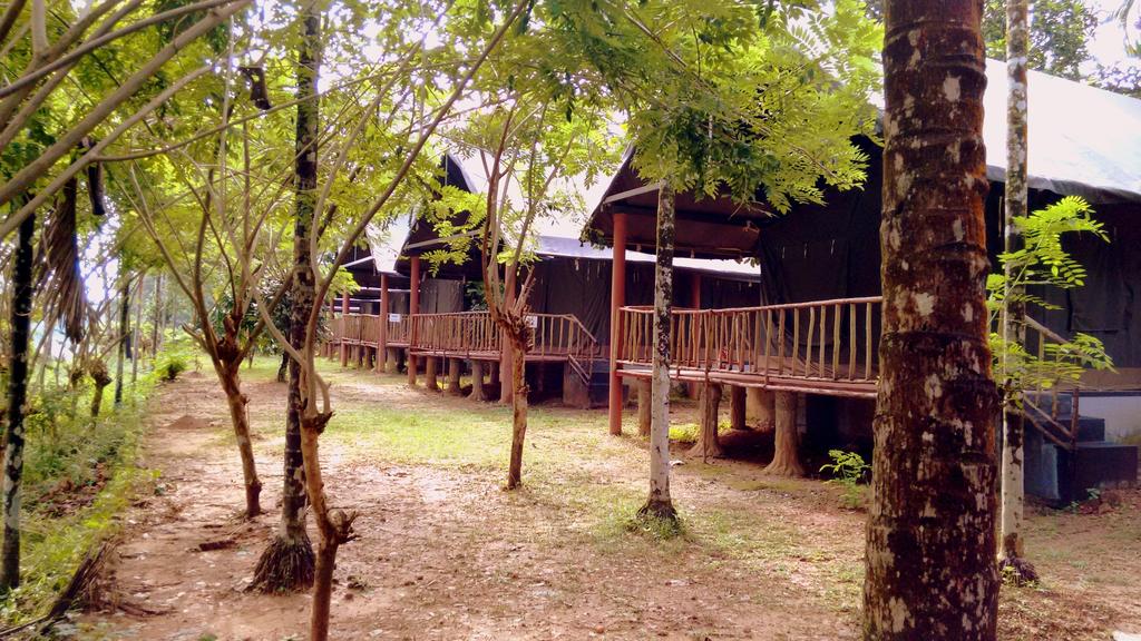 Hornbill Camp