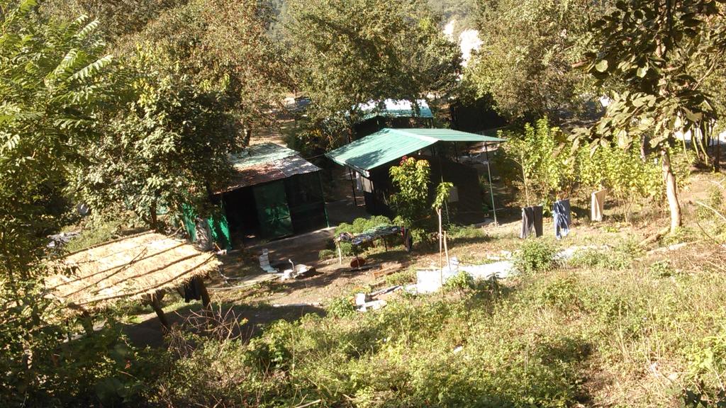 Eco Wild Camps Rajaji