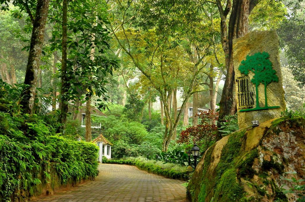 The Tall Trees Munnar