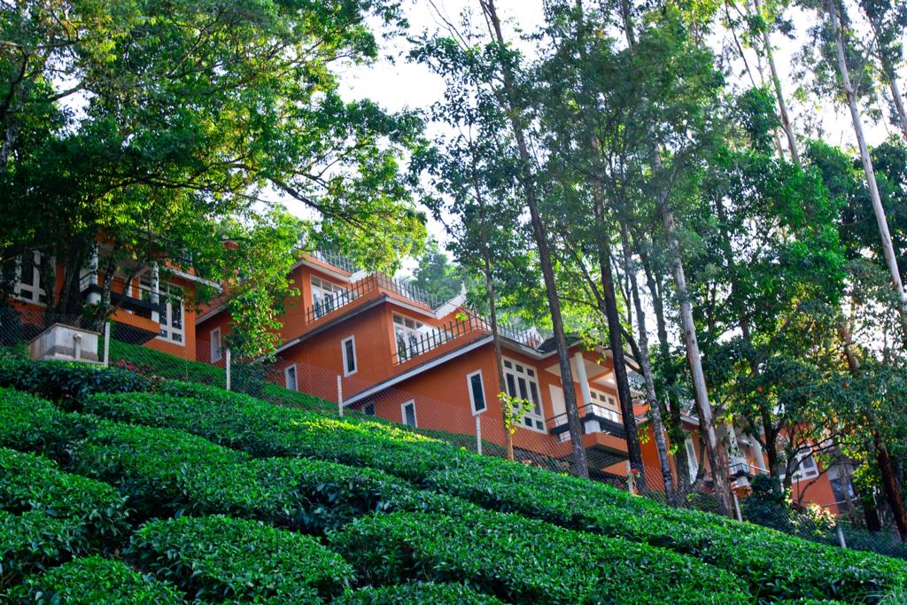 Tea Valley Resort