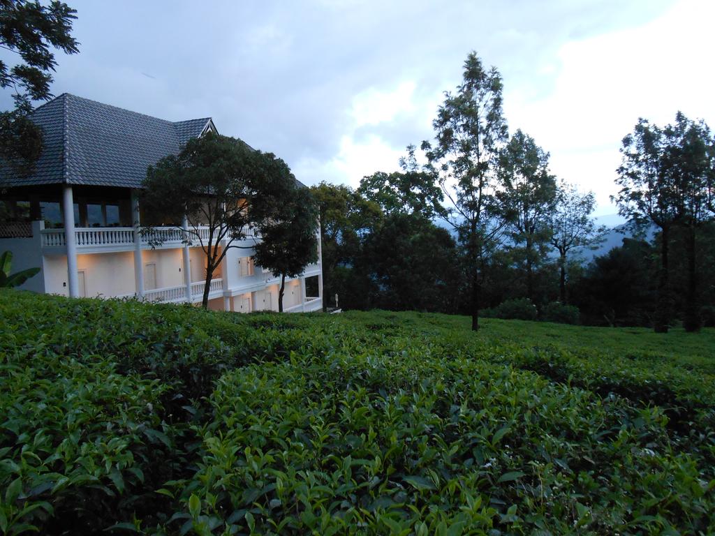 Tea Harvester Munnar