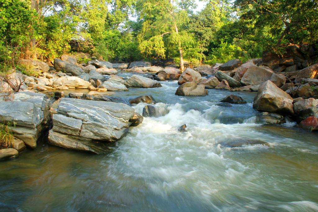 Nakshatra Jungle Resort