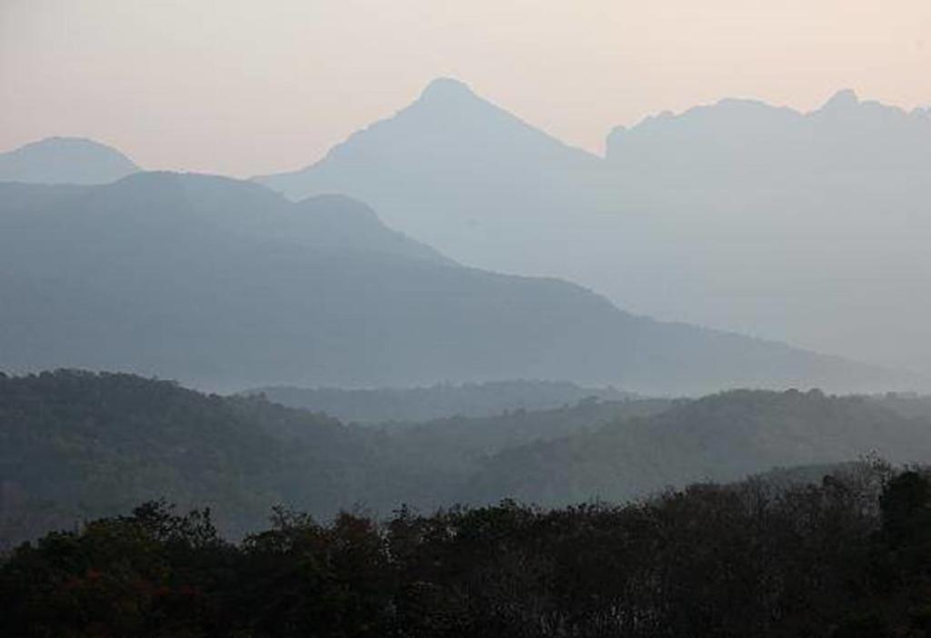 Bio Veda Ayurvedic Hill resort