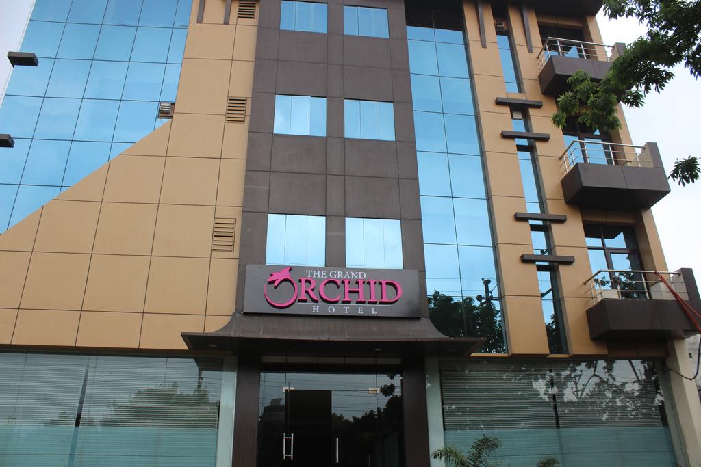 The Grand Orchid