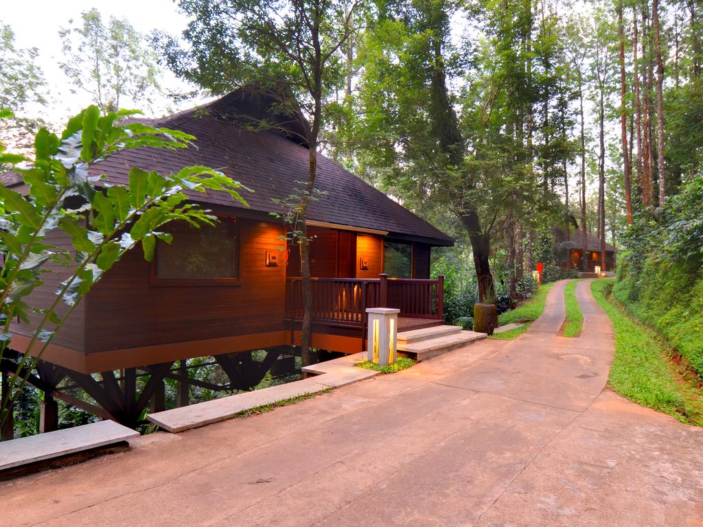 The Tamara Coorg