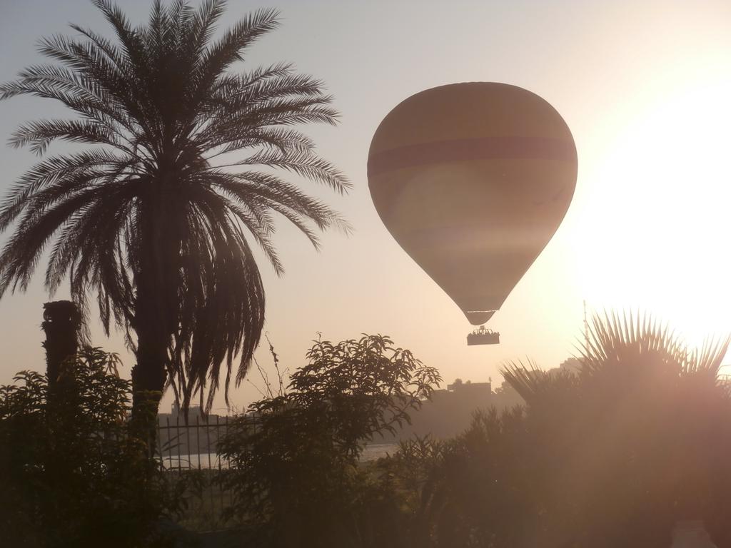 Nile View Hotel