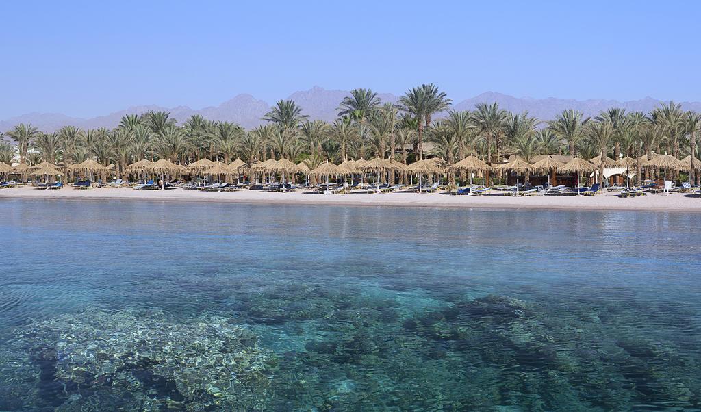 Hilton Sharm El Sheikh Fayrouz Resort